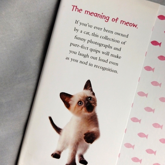 If cats could talk table book - Picture 4 of 6
